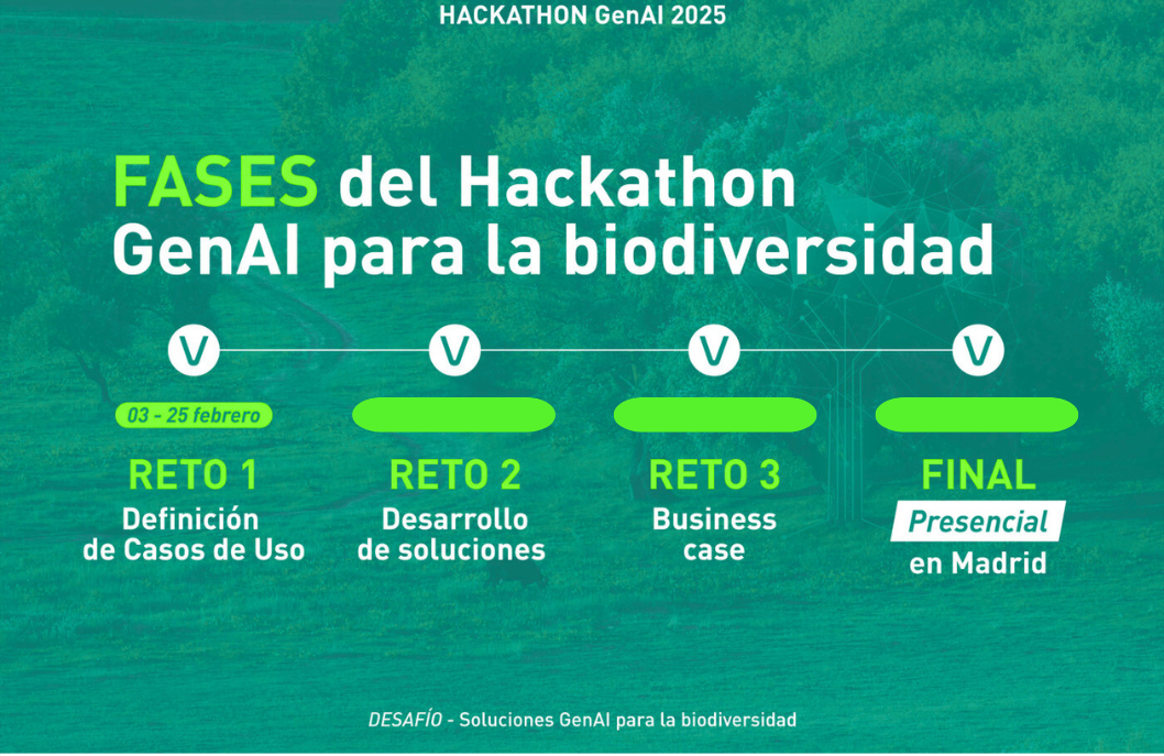 fases-hackathon